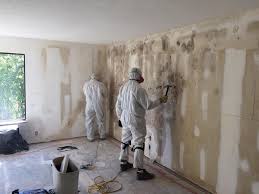 Best Mold Remediation for Healthcare Facilities  in USA